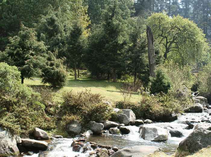 Los Dinamos Park. Photo by Esparta Palma, Wikicommons