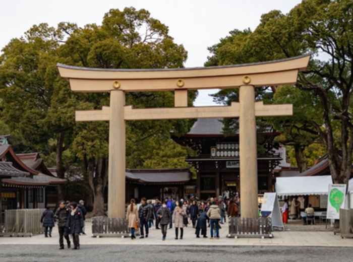 Torii Gate at Meiji Jingu Shrine