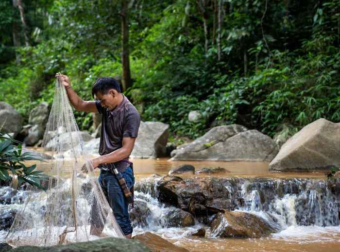 A clear mountain stream with anglers fishing for trout surrounded by lush forest vegetation.Image by razkoko3 from Pixabay