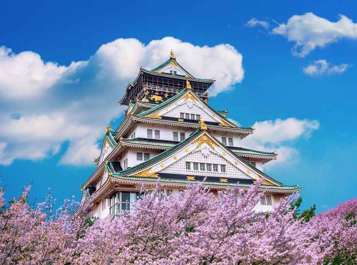 Visitors admiring cherry trees at peak bloom in early April at Osaka Castle Park