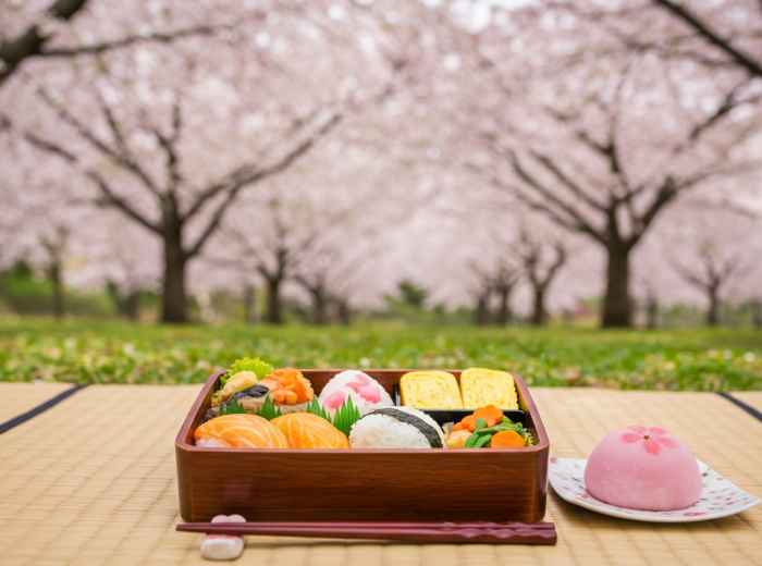 A beautifully arranged hanami bento and sakura mochi on a picnic mat under blooming cherry trees