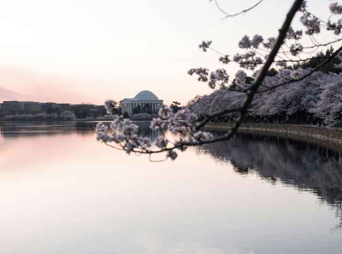 City Unscripted article image