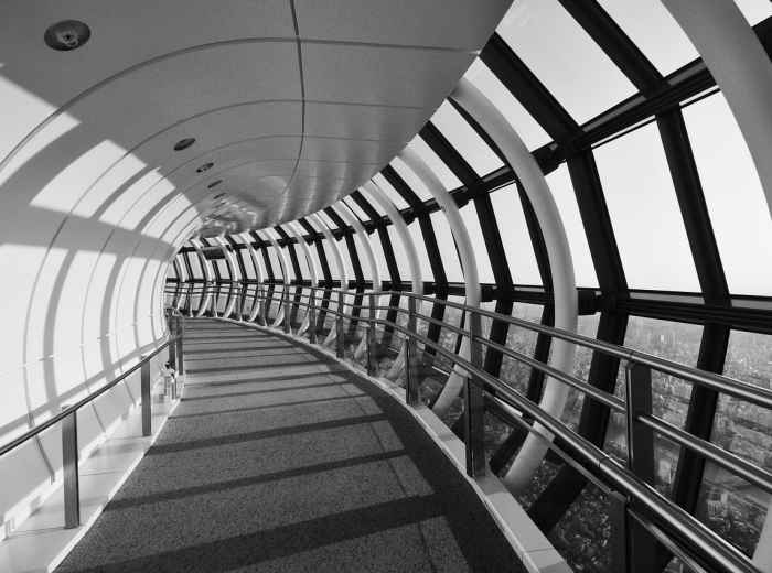 Traveler gazing from Umeda Sky Building's observation deck  Image by Z3RAJIRAIYA from Pixabay