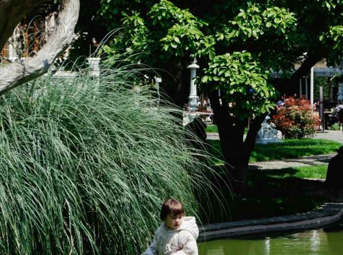 Children playing in Nagai Botanical Gardens Photo by M e r v e on pexels