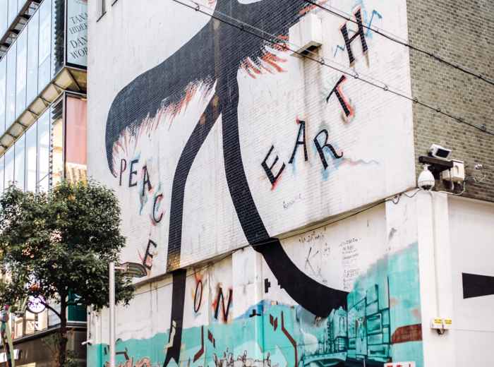  Local host and traveler discovering street art in quiet Osaka neighborhood