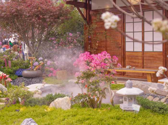 Steaming outdoor hot spring with snow-covered rocks and peaceful winter atmosphere Photo by kinya jones on Unsplash