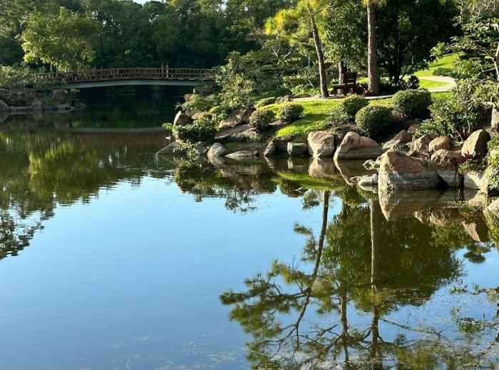Beautifully manicured landscapes with serene ponds reflecting blue sky at Tennoji Park Photo by Carmen Alma on Unsplash