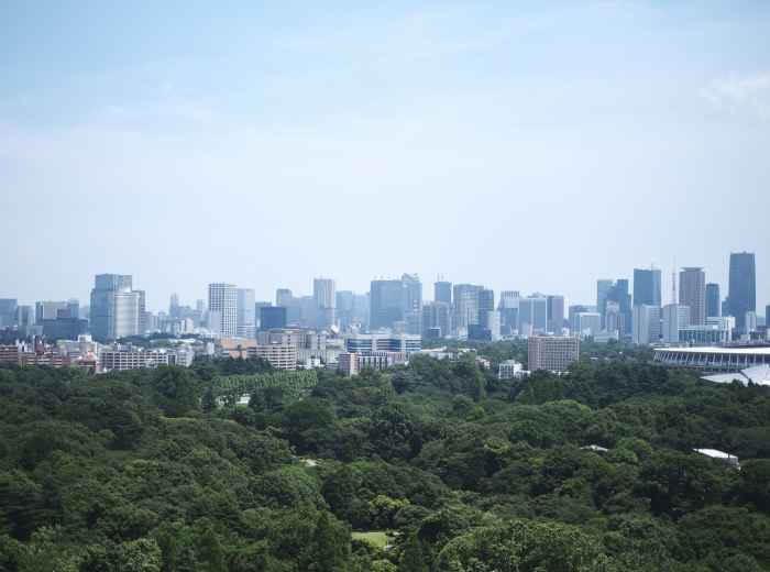 A panoramic view of Osaka from a high vantage point showing the mix of historical sites, modern buildings, and residential areas that make up the complete city landscape Photo by moreau tokyo on Unsplash