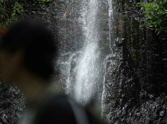 Hidden waterfall in urban park setting, guests discovering natural beauty. Photo by Huang 211 on Unsplash