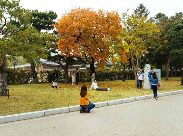 Taking some quick photos Photo by Stephanie Nakagawa on Unsplash