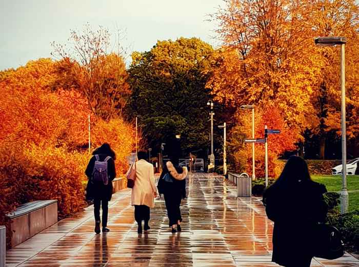 Early morning commuters walking through fallen autumn leaves near Namba Station Photo by Catherine Feather on Unsplash