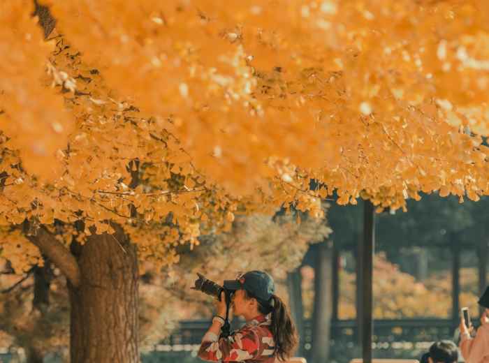 A small group of people sharing tea outdoors in a park setting with autumn foliage creating a colorful backdrop Photo by Cajeo Zhang on Unsplash