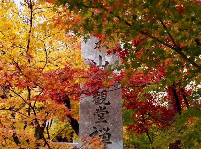 A historical marker or information sign near autumn trees, explaining the cultural and historical significance of the location and its seasonal traditions Photo by Gang Hao on Unsplash