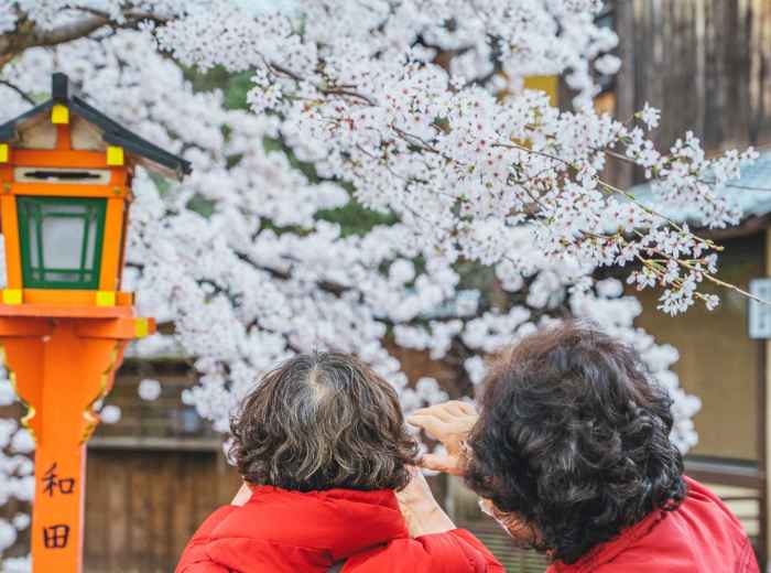  Local residents and visitors discussing weather patterns and seasonal changes in an Osaka park setting. Photo by Roméo A. on Unsplash