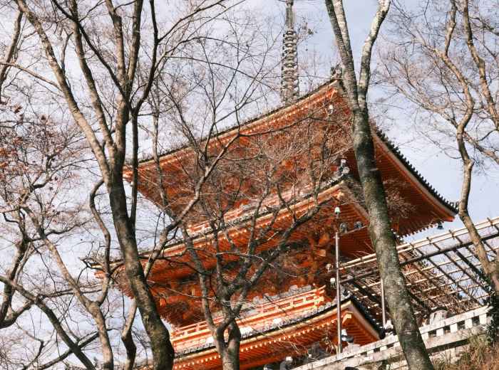 The ancient pagoda of Shitennoji Temple surrounded by bare winter trees, emphasizing its historical significance Photo by Marin huang on Unsplash