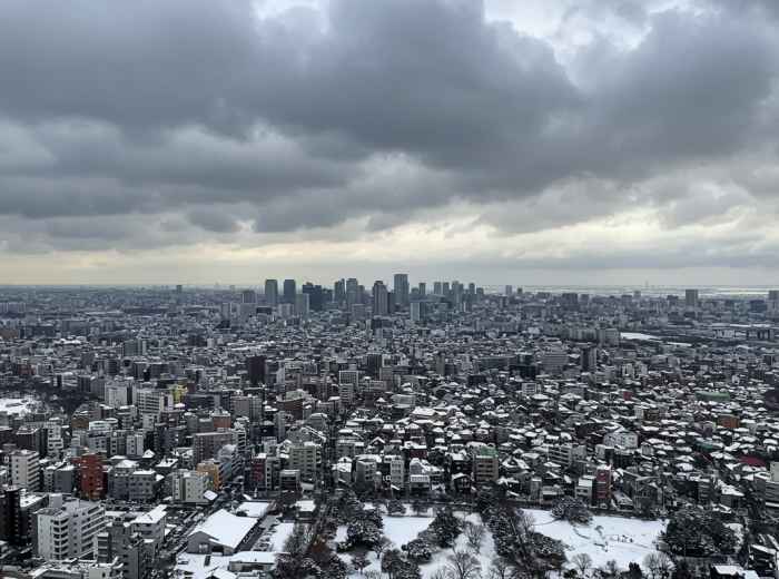 A panoramic view of Osaka city in winter from a high vantage point, showing the urban landscape under dramatic winter clouds.