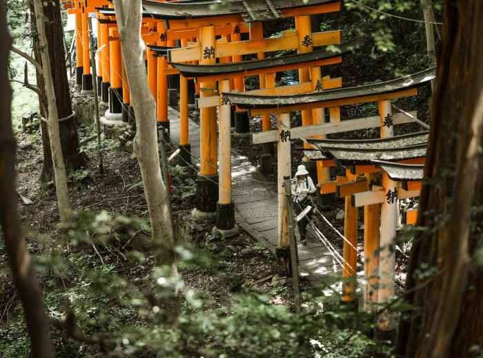 Mountain forest path leading to temple with natural canopy providing cooling shade.