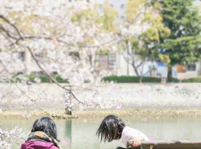 Children collecting fallen cherry blossom petals along waterways Photo by HONG FENG on Unsplash