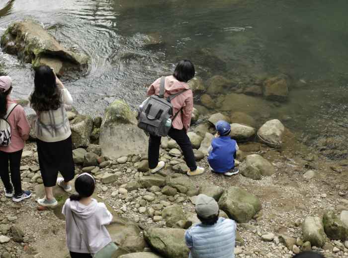 A family using resources to plan their Kyoto adventure with children helping choose activities Photo by MChe Lee on Unsplash