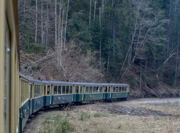 Scenic train approaching mountain station with bamboo forest visible on hillsides Photo by Sandra-Beatrice Molnar on Unsplash