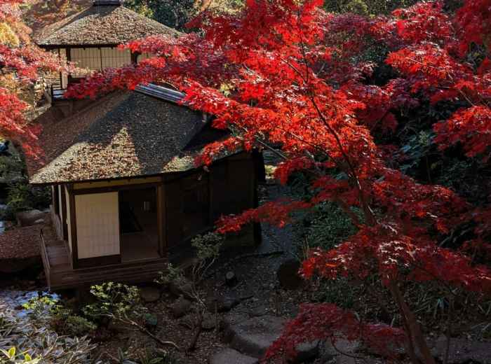 Small temple building nestled among autumn-colored trees Photo by Kenji Kitabayashi on Unsplash