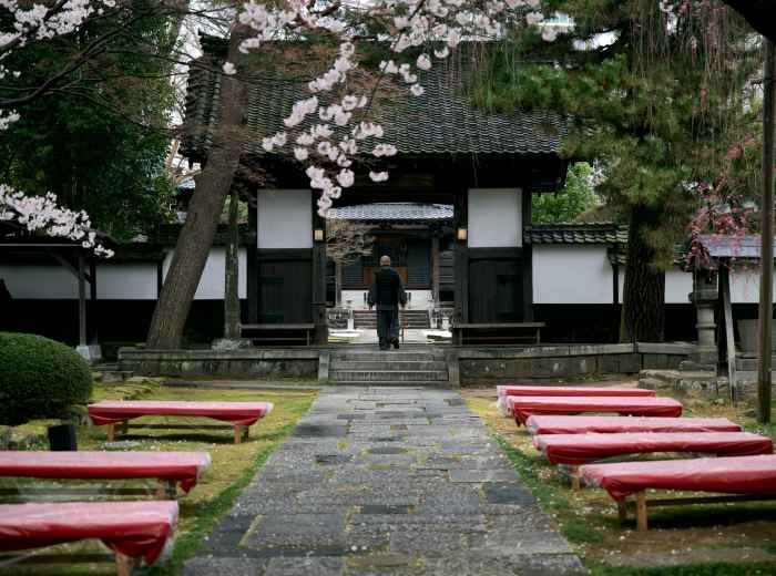 Local resident praying at neighborhood shrine during cherry blossom season. Photo by i k on Unsplash