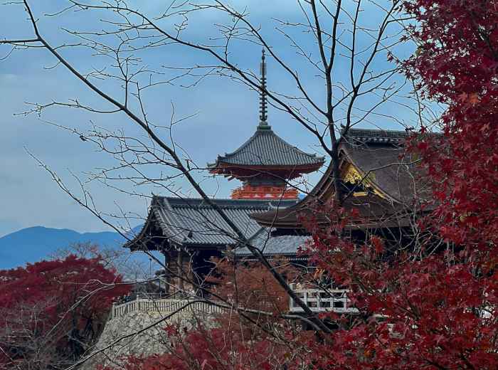 Mountain temple nestled among autumn forests with valley view. Photo by Nelemson Guevarra on Unsplash
