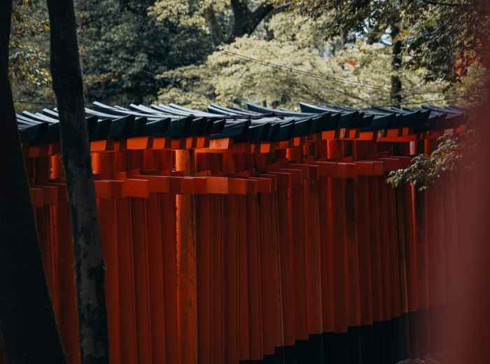 Red torii gates of Kifune Shrine ascending through autumn forest Photo by Isaac Mitchell on Unsplash