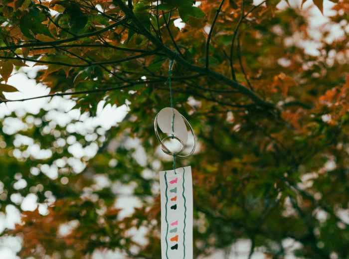 Traditional wooden wish tablets hanging among autumn branches Photo by JinKey X on Unsplash