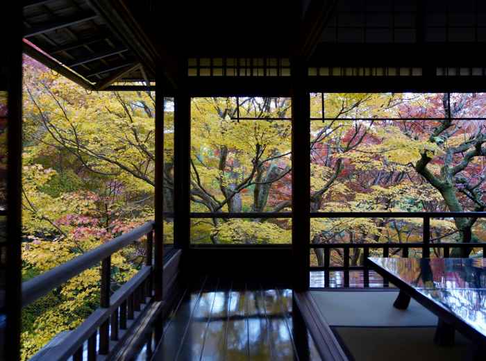 Traditional Japanese inn room with autumn garden view Photo by Gang Hao on Unsplash