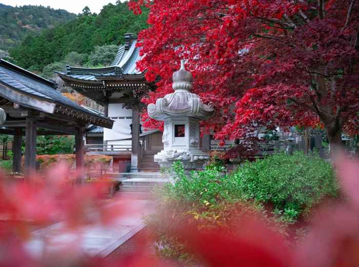 Traditional farewell scene with autumn colors and peaceful temple Photo by Lucas Calloch on Unsplash