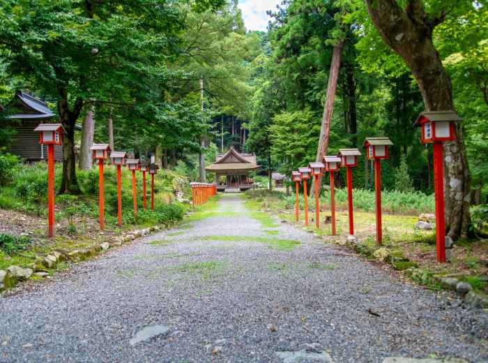 The carefully manicured garden path around Kinkaku-ji with stone lanterns and pine trees Photo by Kazuhiro Yoshimura on Unsplash