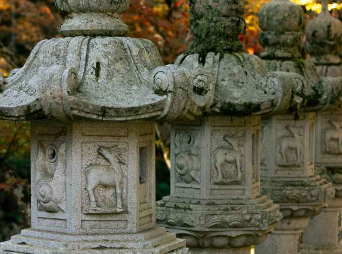 Nijo Castle gardens with autumn foliage and traditional stone lanterns. Photo by Sagawa on Unsplash