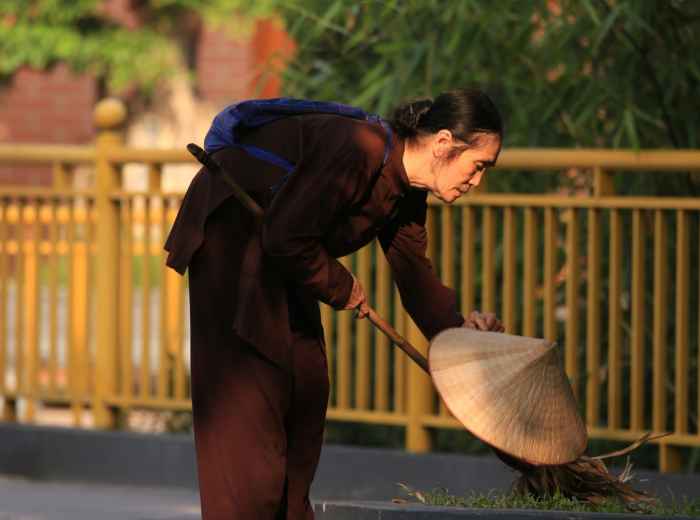 Elderly monk sweeping temple grounds in early morning light Photo by Daisy Swift on Unsplash