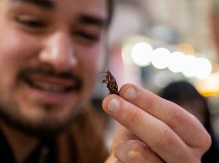 Mercado San Juan in Mexico City