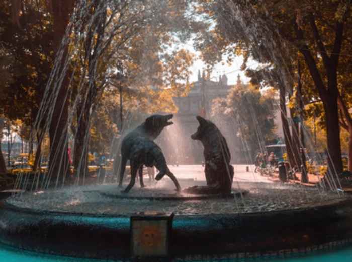 Iconic fountain in Coyoacan