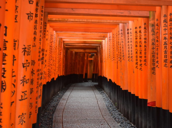 Sunlight filters through rows of vermilion torii gates on Mount Inari