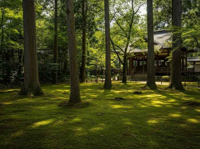 Lush moss and tall trees surround historic buildings at Sanzenin Temple