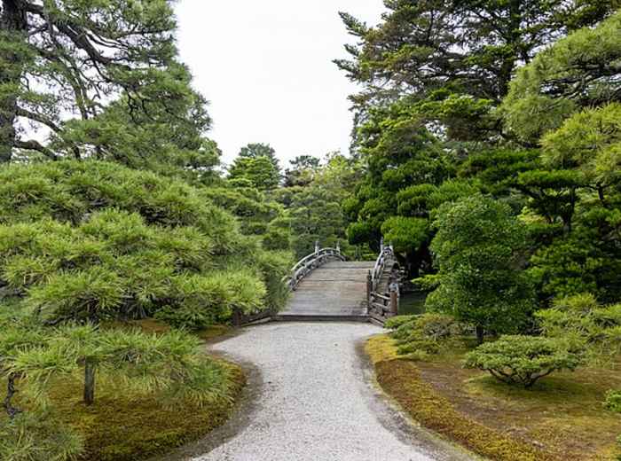 Tree-lined avenues lead through Kyoto Gyoen with wide green spaces