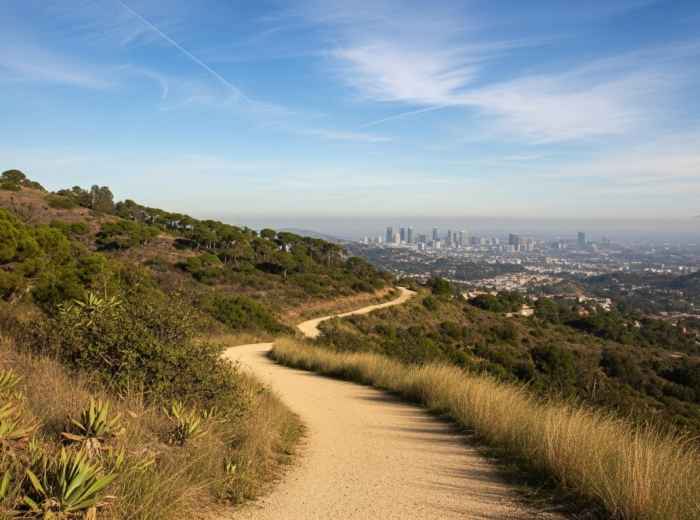 Dirt trail winding along forested ridge