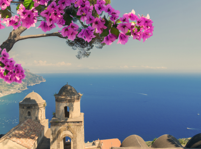 Spring flowers blooming with Amalfi Coast view in soft light