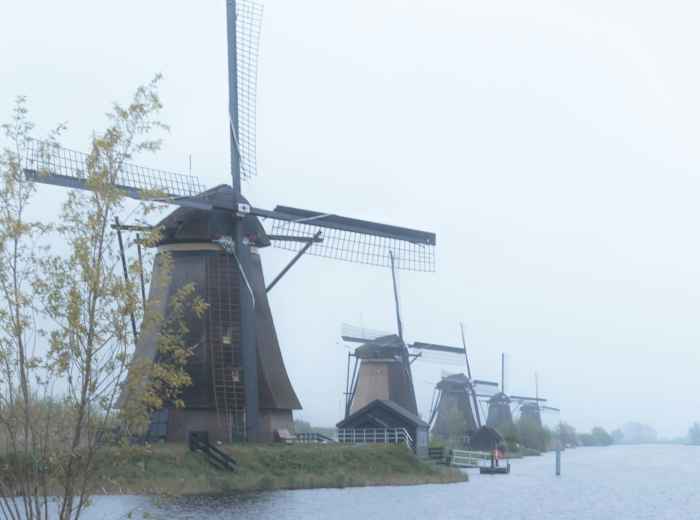 Kinderdijk windmills in mist 