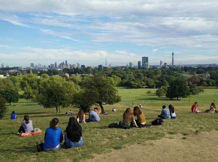 Top of Primrose Hill