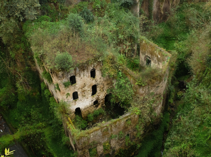 Overgrown stone mill ruins covered by vegetation Mediterranean landscape