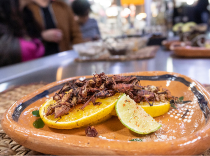 Crickets in Mercado de San Juan