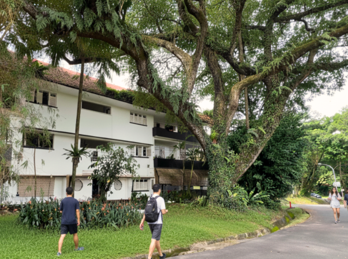 Portsdown Road in the Wessex Estate with people taking relaxed strolls in the street