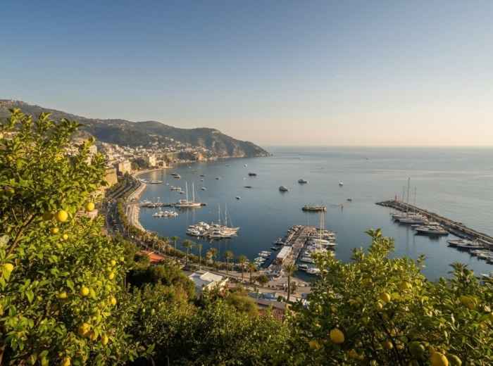 Lemon trees overlooking the Sorrento coast with boats at Marina Grande