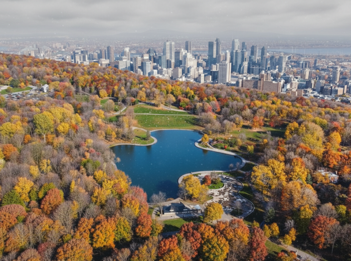 View over Mont Royal Park and downtown Montreal in peak fall colors
