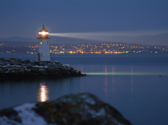 Lighthouse Park with city lights in distance