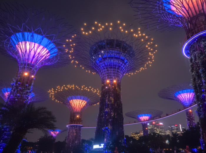 Glowing Supertree Grove canopy at night